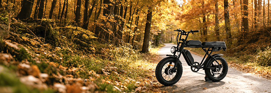 微信图片_20260317213457_1370_113_副本 微信图片_20260317213457_1370_113_副本