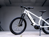 TDA-03 TorqueEdge 26 Electric Bike