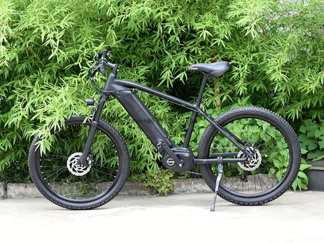 TDA-04 VerveMid 55 Electric Bike