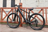 TDA-01 TrailVolt 500 Electric Bike