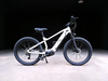 TDA-03 TorqueEdge 26 Electric Bike