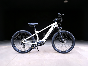 TDA-03 TorqueEdge 26 Electric Bike