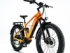 RuggedTrail 750 Fat Tire Electric Bike