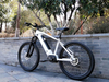 TDA-04 VerveMid 55 Electric Bike