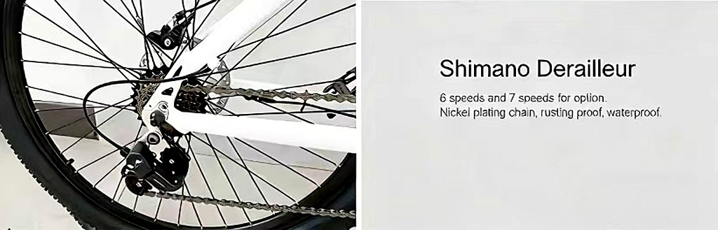 微信图片_20260315204651_1220_113_副本_副本