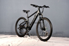 TDA-01 TrailVolt 500 Electric Bike