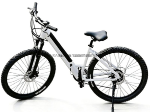 TDA-02 TrailVolt 350 Women Electric Bike