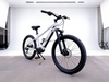TDA-03 TorqueEdge 26 Electric Bike