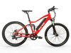 TDA-05 All-Terrain Off-Road E-Bike