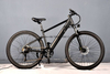 TDA-01 TrailVolt 500 Electric Bike