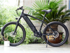 TDA-04 VerveMid 55 Electric Bike