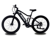 TDA-05 All-Terrain Off-Road E-Bike