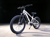 TDA-03 TorqueEdge 26 Electric Bike