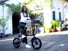 TDN-10 PocketCommute 16 Inch 250W Folding Electric Bike