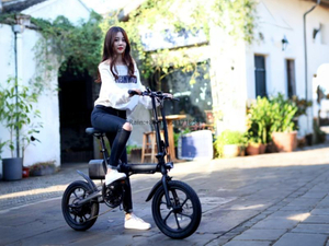 TDN-10 PocketCommute 16 Inch 250W Folding Electric Bike
