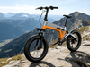TDE-10 MagneFold 20 Fat Adventure E-Bike