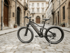 TDE-04 PowerGlide Fat Electric Bike