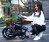 TDN-10 PocketCommute 16 Inch 250W Folding Electric Bike