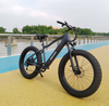 26' Fat Tire Long Range Electric Bike