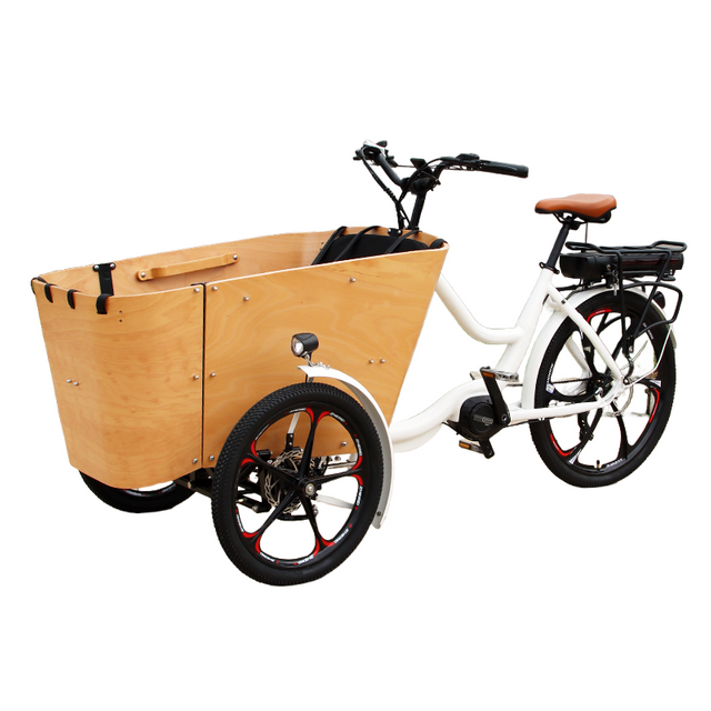 New 3 Wheel Cargo Electric Bike | 48V 500W Brushless Hub Motor, Swing Balance Device