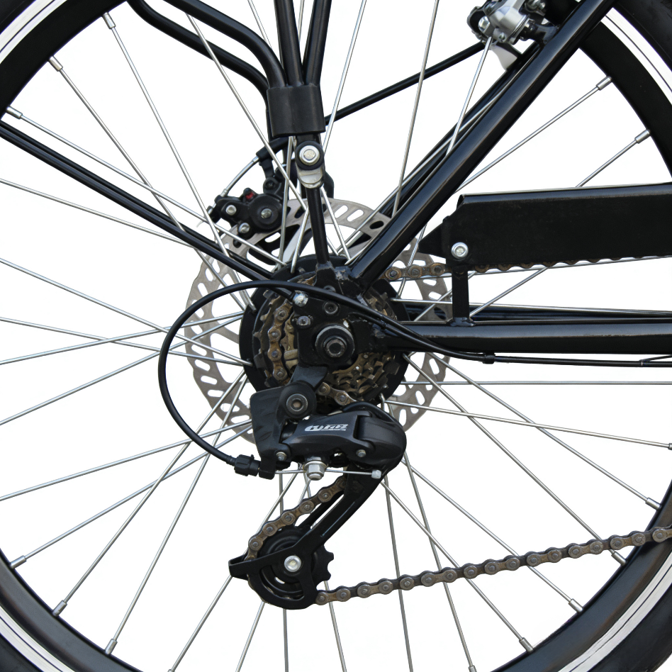 微信图片_20260307144106_1034_113 微信图片_20260307144106_1034_113