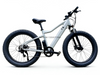 TDE-01 ThunderFat 500 | Electric Fat Tire Bike