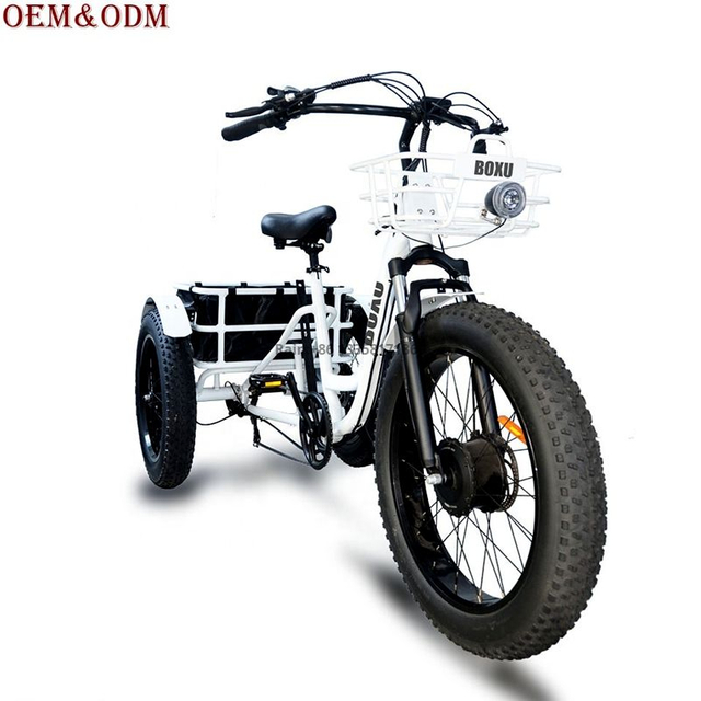 TDE-12 EcoHaul 48V Electric Utility Trike