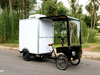 TY-05 EcoThermo Cargo Trike