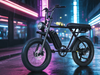 TDE-05B Retro Scrambler Fat Tire E-Bike
