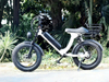 TDE-08 UrbanFat Glide Fat Tire Electric Commuter Bike