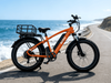 TDE-13 Pathfinder Fat Tire E-Bike