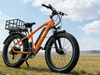 TDE-13 Pathfinder Fat Tire E-Bike