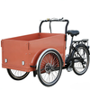 TD-S4B2 Electric Cargo Bike | 36V 250W/350W Brushless Motor, 13.4AH Li-ion Battery - For Urban Delivery & Daily Use