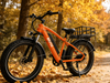 TDE-13 Pathfinder Fat Tire E-Bike