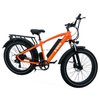 TDE-13 Pathfinder Fat Tire E-Bike