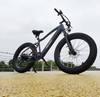 26' Fat Tire Long Range Electric Bike