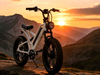 TDE-07 TerraBlaster RS | Fat Tire Electric Bike