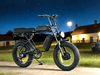 TDE-05D All-Terrain Dual Motor Electric Bike