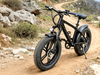 TDE-06 TrakFat 750 All-Terrain E-Bike