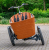 Electric Cargo Tricycle 