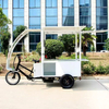 TY-06 Electric Tricycle Mobile Vending Caro 