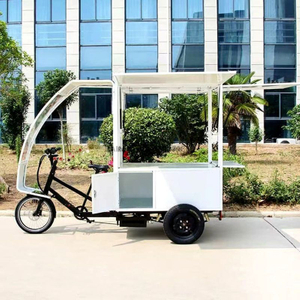 TY-06 Electric Tricycle Mobile Vending Caro 