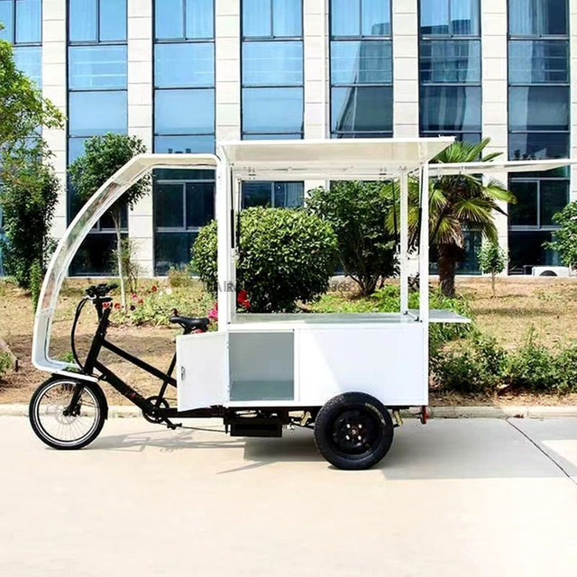 TY-06 Electric Tricycle Mobile Vending Caro 