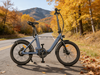 TDN-05 City Fold - Premium Folding Electric Bike | BOXU JOYLAX