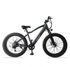 26' Fat Tire Long Range Electric Bike