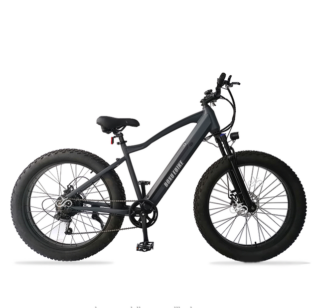 26' Fat Tire Long Range Electric Bike
