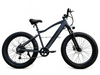 TDE-01 ThunderFat 500 | Electric Fat Tire Bike