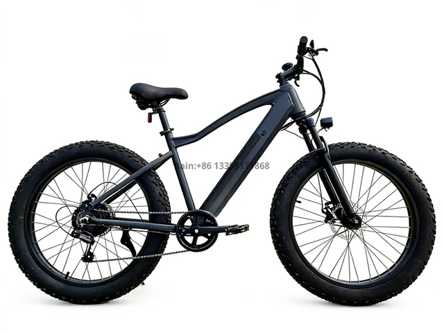 TDE-01 ThunderFat 500 | Electric Fat Tire Bike