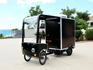 TY-05 EcoThermo Cargo Trike