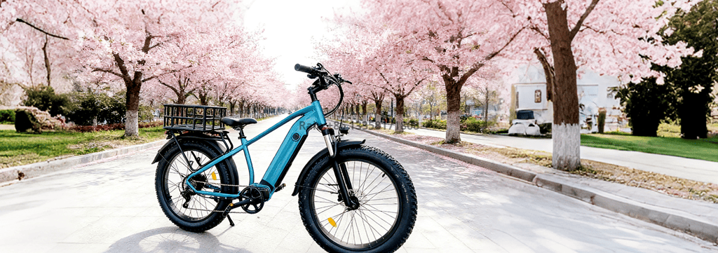 微信图片_20260320104550_1498_113_副本